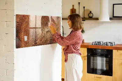 Magnetická kreslicí tabulka starý kmen stromu