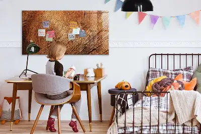 Magnetická kreslicí tabulka starý kmen stromu