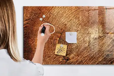Magnetická kreslicí tabulka starý kmen stromu