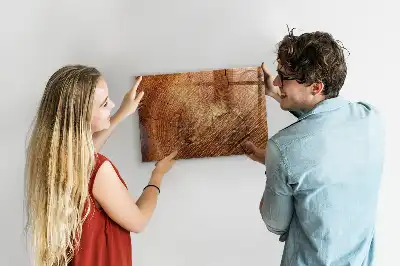 Magnetická kreslicí tabulka starý kmen stromu