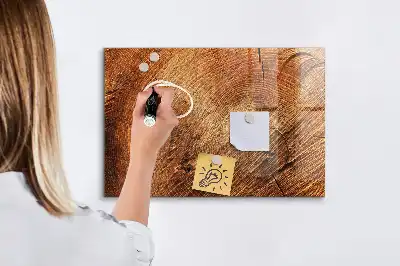 Magnetická kreslicí tabulka starý kmen stromu