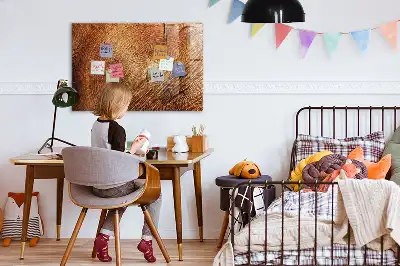 Magnetická kreslicí tabulka starý kmen stromu