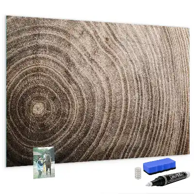 Magnetická tabule na kreslení motiv kmen stromu