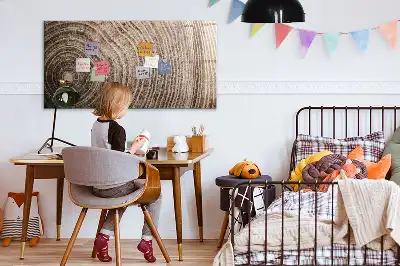 Magnetická tabule na kreslení motiv kmen stromu
