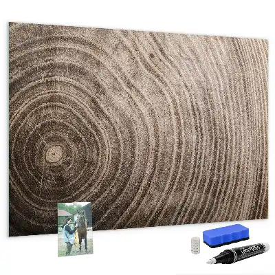 Magnetická tabule na kreslení motiv kmen stromu