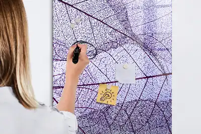 Magnetická popisovací tabule s motivem listu