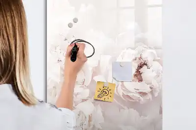 Magnetická popisovací tabule motiv pivoňkové růže