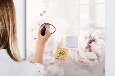 Magnetická popisovací tabule motiv pivoňkové růže