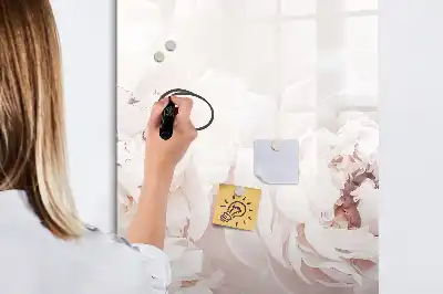 Magnetická popisovací tabule motiv pivoňkové růže