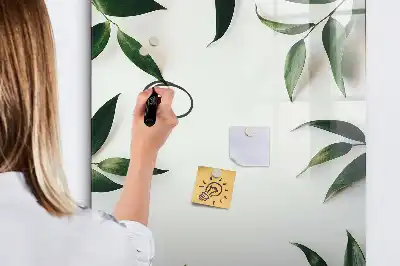 Magnetická kreslicí tabule s motivem zelených listů