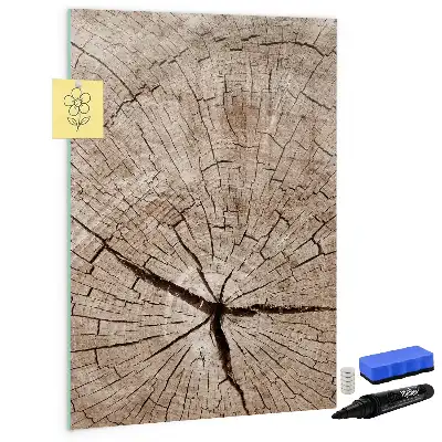 Magnetická popisovací tabule v designu průřezu stromem