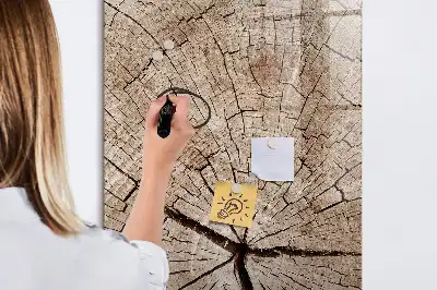 Magnetická popisovací tabule v designu průřezu stromem