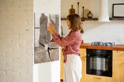 Magnetická popisovací tabule v designu průřezu stromem