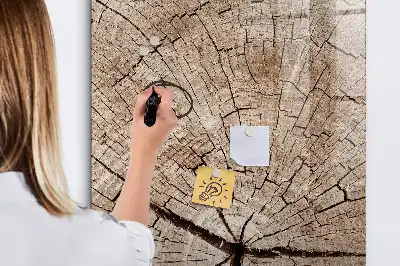 Magnetická popisovací tabule v designu průřezu stromem