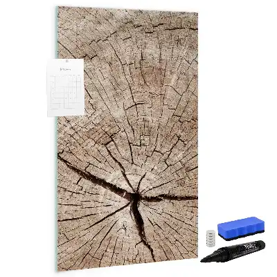 Magnetická popisovací tabule v designu průřezu stromem