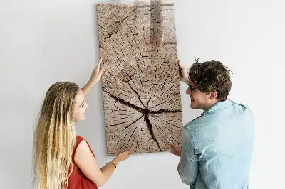 Magnetická popisovací tabule v designu průřezu stromem
