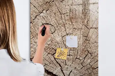 Magnetická popisovací tabule v designu průřezu stromem