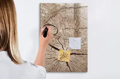 Magnetická popisovací tabule v designu průřezu stromem