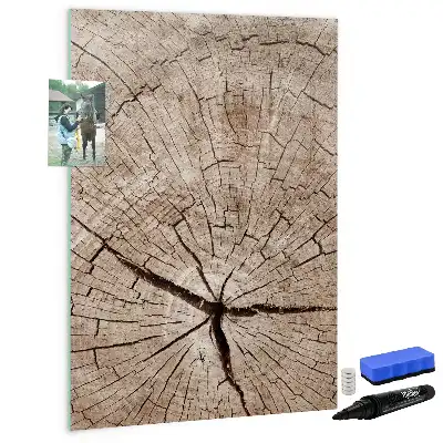 Magnetická popisovací tabule v designu průřezu stromem