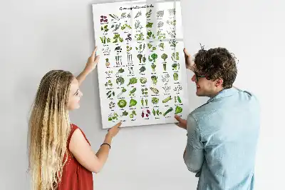 Magnetická tabule na kreslení v zelené barvě