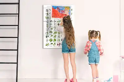 Magnetická tabule na kreslení v zelené barvě