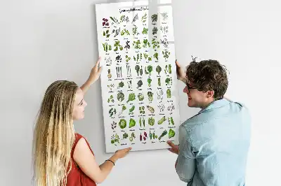 Magnetická tabule na kreslení v zelené barvě