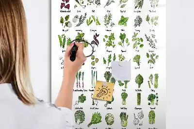 Magnetická tabule na kreslení v zelené barvě