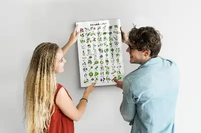 Magnetická tabule na kreslení v zelené barvě