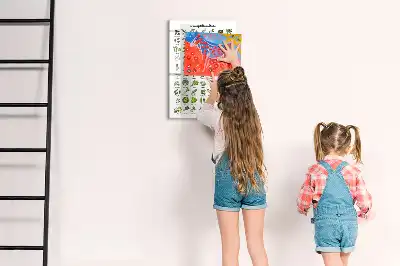 Magnetická tabule na kreslení v zelené barvě