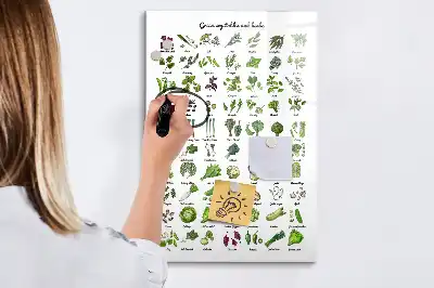 Magnetická tabule na kreslení v zelené barvě