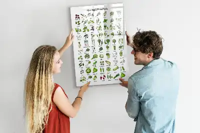Magnetická tabule na kreslení v zelené barvě