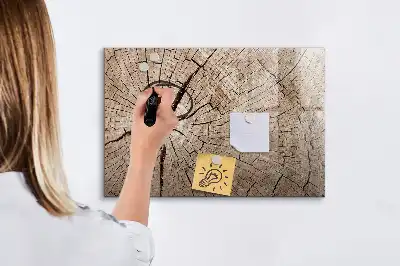 Magnetická kreslící tabule se vzorem starého kmene stromu