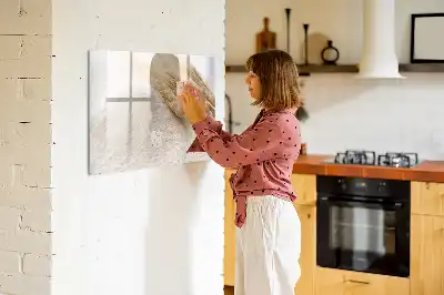Magnetická tabule popisovatelná