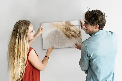 Magnetická tabule popisovatelná