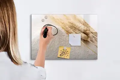Magnetická tabule popisovatelná