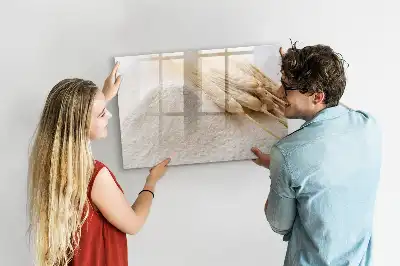 Magnetická tabule popisovatelná