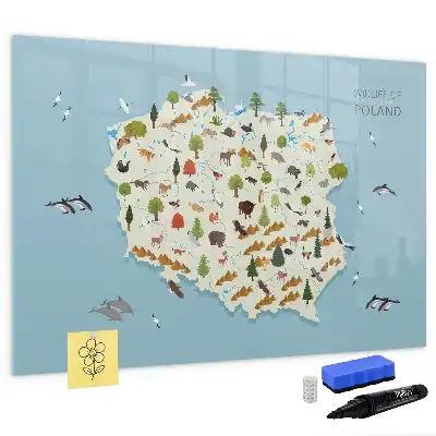 Magnetická kreslící tabule mapa zvířat Polska