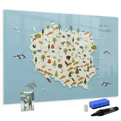 Magnetická kreslící tabule mapa zvířat Polska
