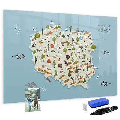 Magnetická kreslící tabule mapa zvířat Polska