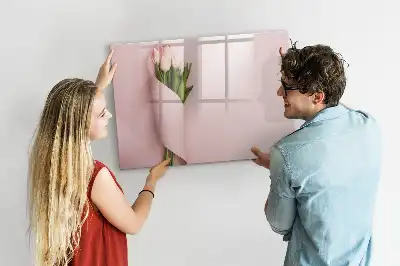 Magnetická tabule popisovatelná
