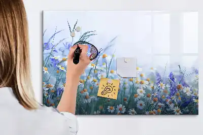 Magnetická kreslící tabule v motivu motýl na louce