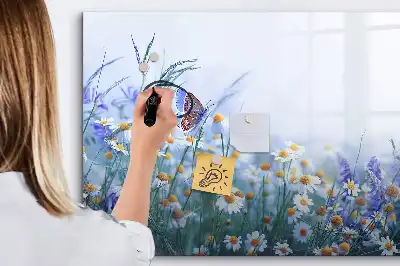 Magnetická kreslící tabule v motivu motýl na louce