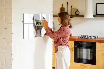Popisovatelná magnetická tabule s motivem sukulentů v brýlích