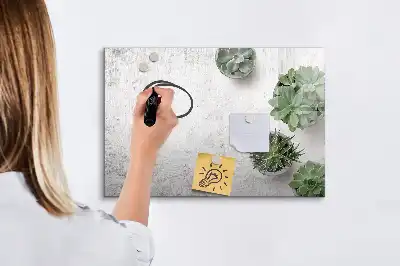 Magnetická kreslící tabule okrasné rostliny