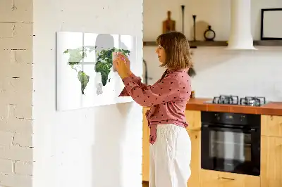 Ekologická mapa světa popisovatelná magnetická tabule