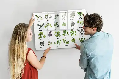 Popisovatelná magnetická tabule s motivem druhy stromů
