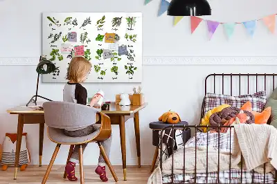 Popisovatelná magnetická tabule s motivem druhy stromů