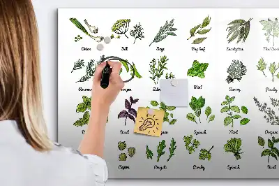 Popisovatelná magnetická tabule s motivem druhy stromů