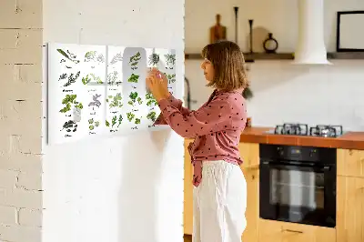 Popisovatelná magnetická tabule s motivem druhy stromů