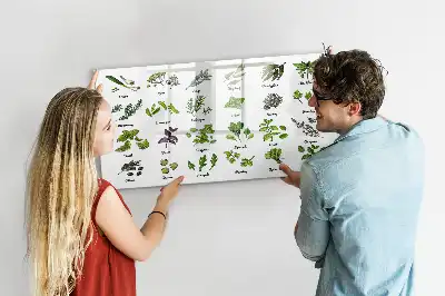 Popisovatelná magnetická tabule s motivem druhy stromů